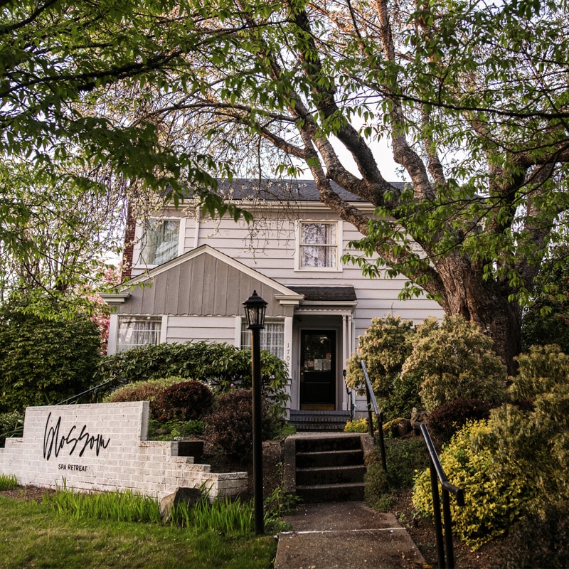 a tree in front of a house